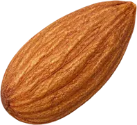 Premium Almonds